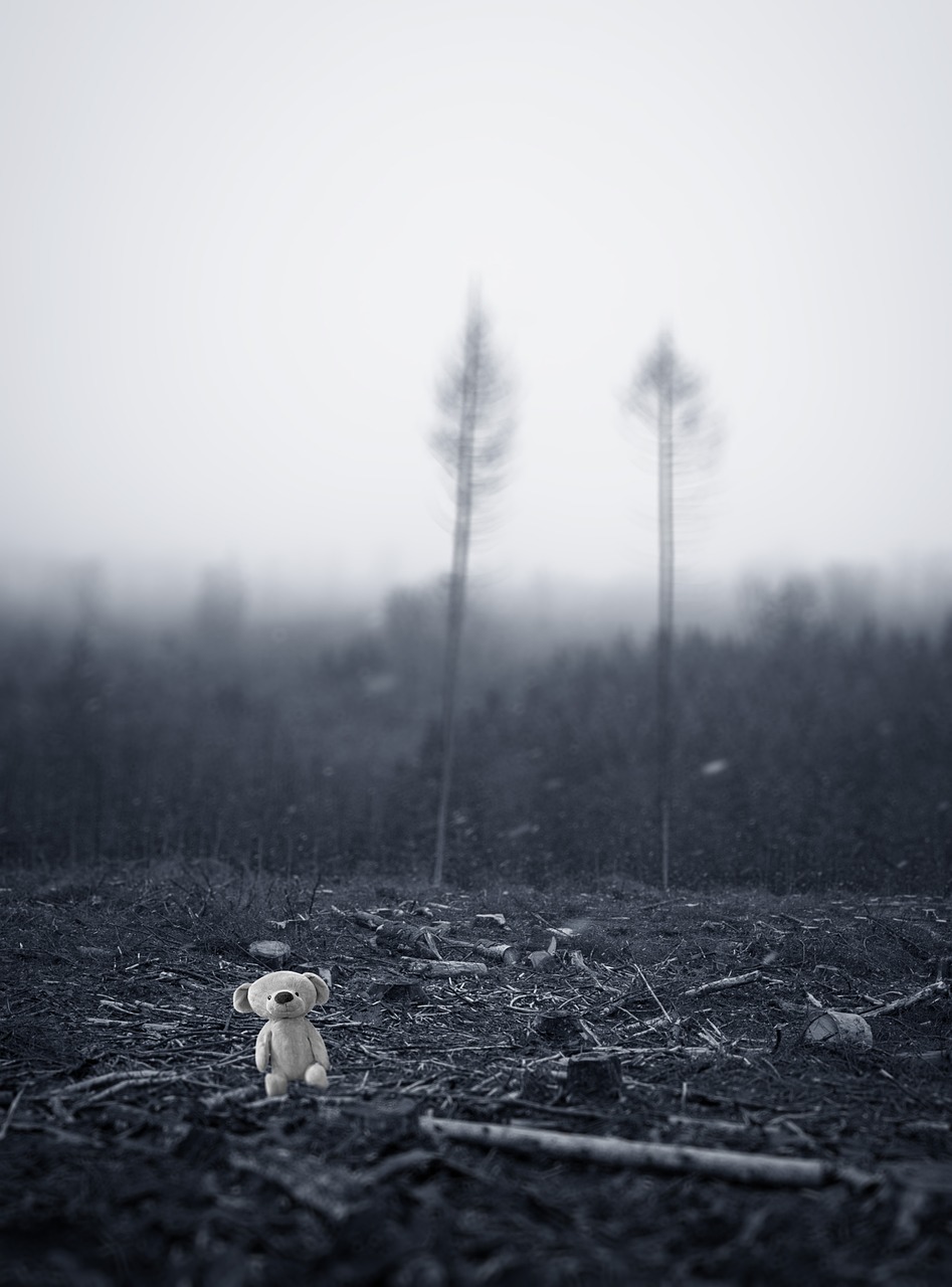 découvrez l'importance de la sensibilisation environnementale et comment chacun d'entre nous peut contribuer à la protection de notre planète. explorez des conseils pratiques et des initiatives pour un avenir durable.